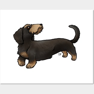 Dog - Wire-Haired Dachshund - Black and Tan Posters and Art